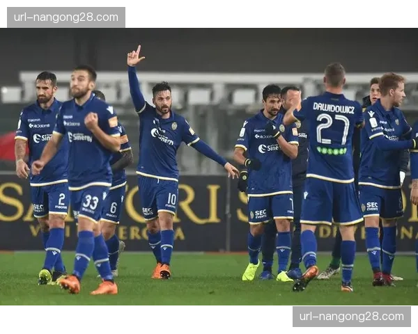 美国基金就收购意甲俱乐部维罗纳多数股权进入排他性谈判